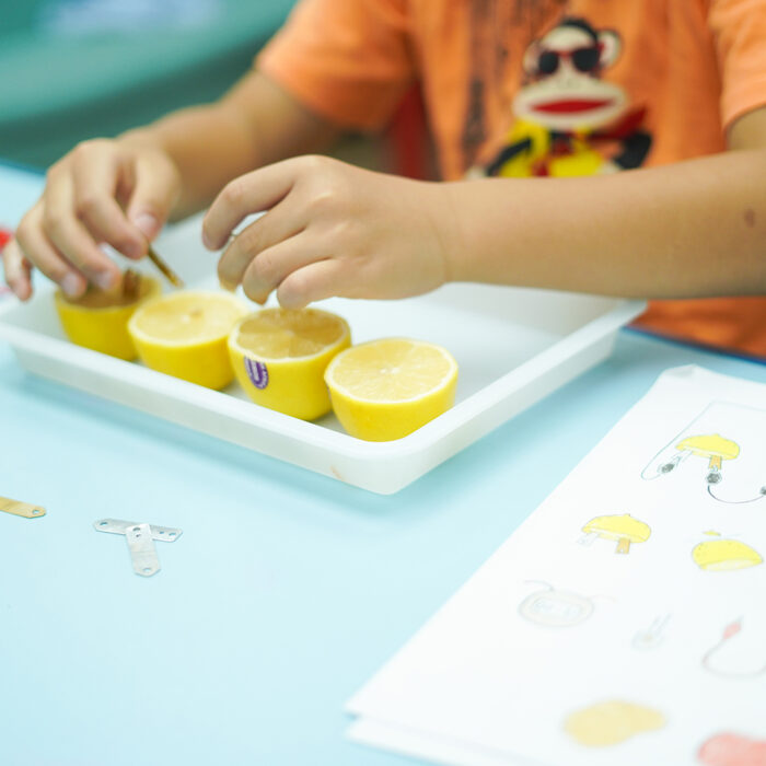 土瓜灣黃埔九龍城小學STEAM體驗課：激發學生探索科學實驗的興趣藝術教育：啟發幼兒大腦發育，培養均衡發展與想像力